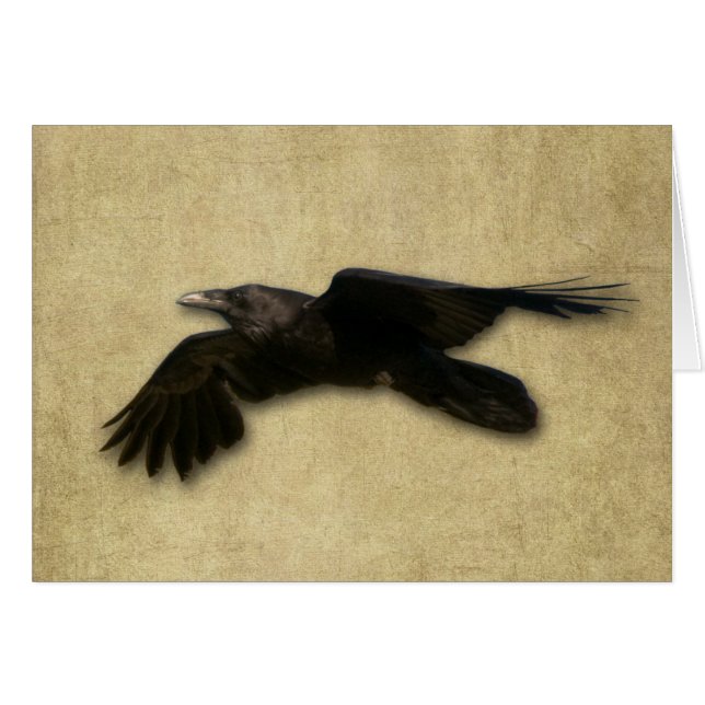 Carte "Lone Crow" (Devant horizontal)