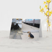 Carte Lonely Beagle Waiting For A Train - Greeting Card (Fleur jaune)