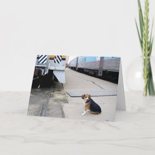 Carte Lonely Beagle Waiting For A Train - Greeting Card (Devant)