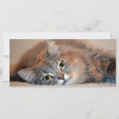 Carte Long chapeau bleu russe par Shirley Taylor (Dos)