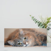 Carte Long chapeau bleu russe par Shirley Taylor (Debout devant)