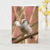 Carte Long Tailed Tit with feather (Fleur jaune)