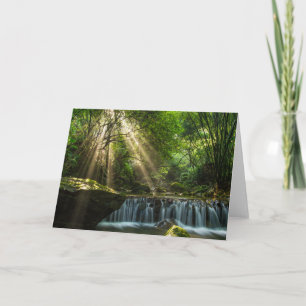 Carte Longquan Glamorous Creek