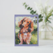Carte longue Haired Dachshund (Debout devant)