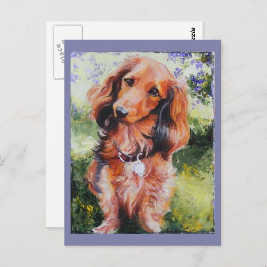 Carte longue Haired Dachshund (Devant / Derrière)