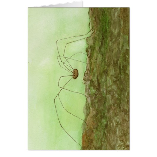 Carte longue pattes papa (Devant)
