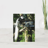 Carte Longue queue de singe dans un arbre (Devant)