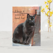 Carte Longuement Black Cat Miss You (Fleur jaune)