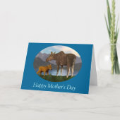 Carte L'orignal dans le pré (Devant)