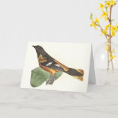 Carte L'Oriole d'Or ou de Baltimore (Icterus galbula) (Fleur jaune)