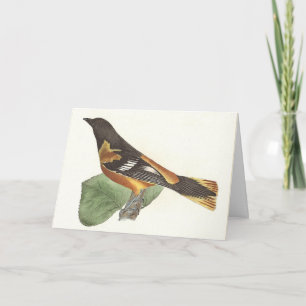Carte L'Oriole d'Or ou de Baltimore (Icterus galbula)