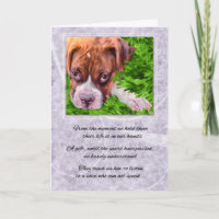 Loss of a Dog Boxer with Purple Pet Sympathy