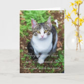 Carte Loss of Cat (Fleur jaune)