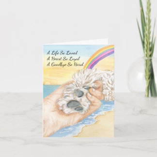 Carte Loss of Dog Paw being Held By Hand With Rainbow