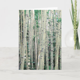 Carte Lost in dans les Aspens - Blank Inside Greeting Ca
