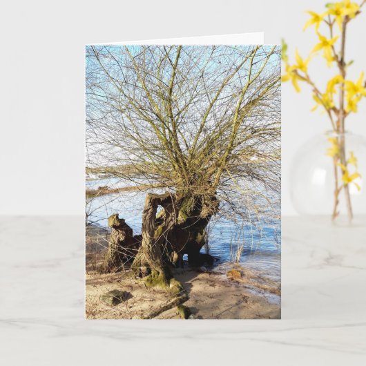 Carte Lost Places, vieux Arbre sur la rive de la rivière (Fleur jaune)