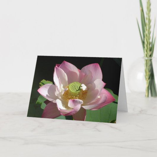 Carte Lotus (Devant)