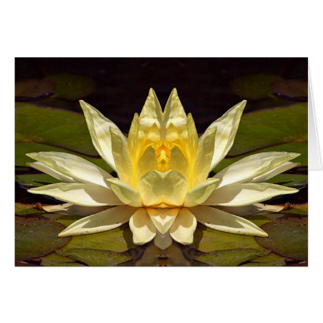 Carte Lotus1 augmentée (Devant horizontal)