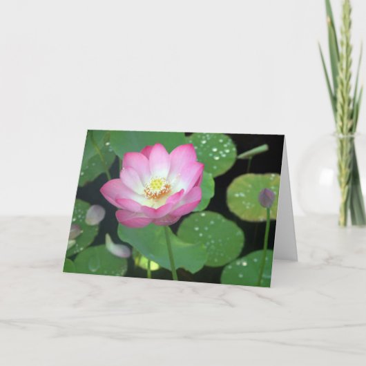 Carte Lotus Beauty (Devant)