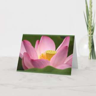 Carte Lotus Card
