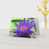 Carte Lotus pourpre (Fleur jaune)