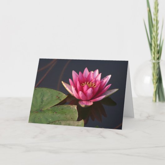 Carte Lotus rose (Devant)