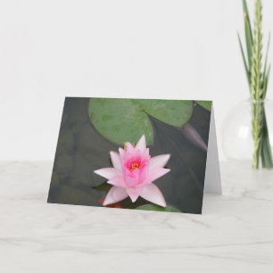 Carte Lotus rose