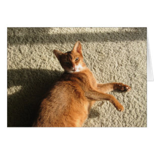 Carte Lounging de Kitty