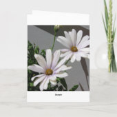 Carte Loup blanc (Dos)