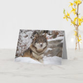 Carte Loup d'hiver (Fleur jaune)