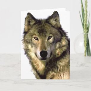Carte Loup gris