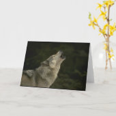 Carte Loup Gris (Fleur jaune)