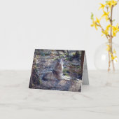 Carte Loup hurlant (Fleur jaune)
