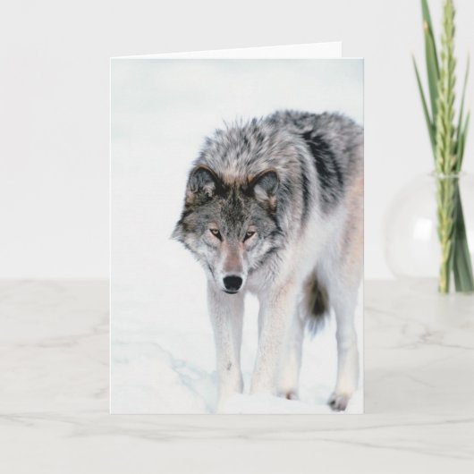 Carte Loup tortueux (Devant)