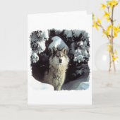 Carte Loups des neiges (Fleur jaune)