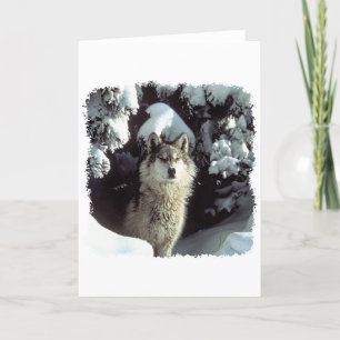 Carte Loups des neiges