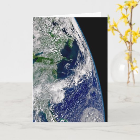 Carte L'Ouragan Frances Sur Une Terre Partielle. (Fleur jaune)