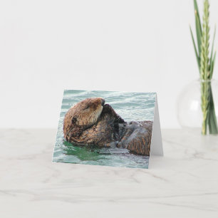 Carte loutre 117c