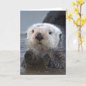 Carte Loutre de mer du sud (lutris d'Enhydra) (Fleur jaune)