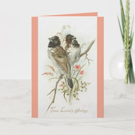 Carte Love Birds Anniversary Greeting Card (Devant)