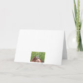 Carte LovesU3, - Joyeux anniversaire (Dos)