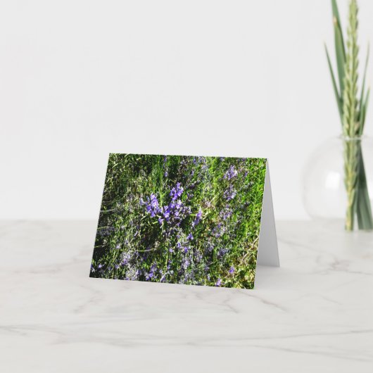 Carte Loving Lavender..... (Devant)