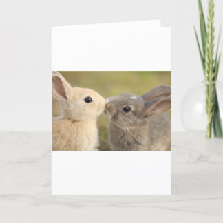 Carte loving rabbit