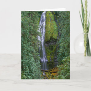 Carte Lower Proxy Falls Forêt nationale de Willamette