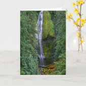 Carte Lower Proxy Falls | Forêt nationale de Willamette (Fleur jaune)