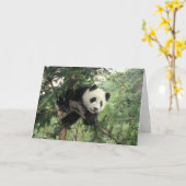 Carte L'petit animal de panda géant grimpe à un arbre, (Fleur jaune)
