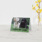 Carte LR I Love My Labs avec photo (Fleur jaune)