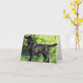 Carte LR labrador noir plein format (Fleur jaune)