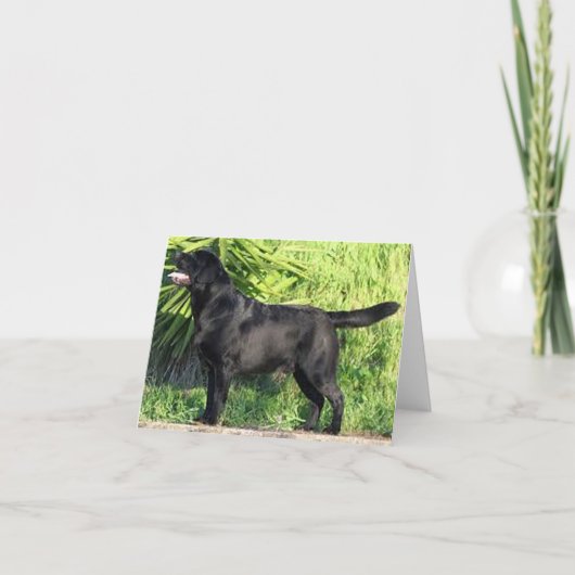 Carte LR labrador noir plein format (Devant)
