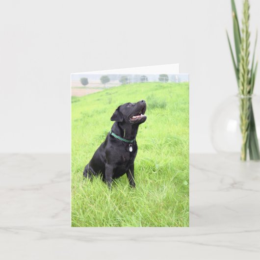 Carte LR noir (Devant)